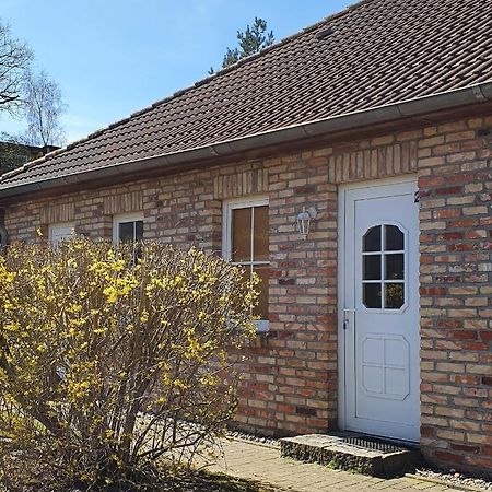 Ferienwohnungen Rügen-Glück Lohme Exterior foto
